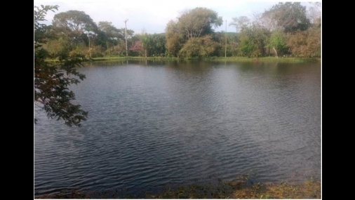 Prefeitura de Tietê deu início a limpeza do Parque Ecológico 